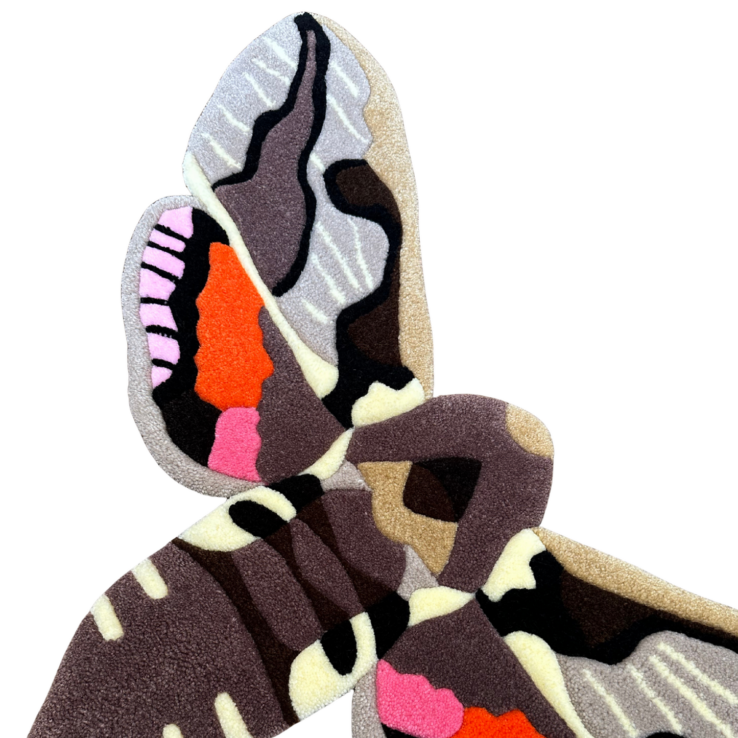 PRÉ-COMMANDE - Sphinx de l'euphorbe