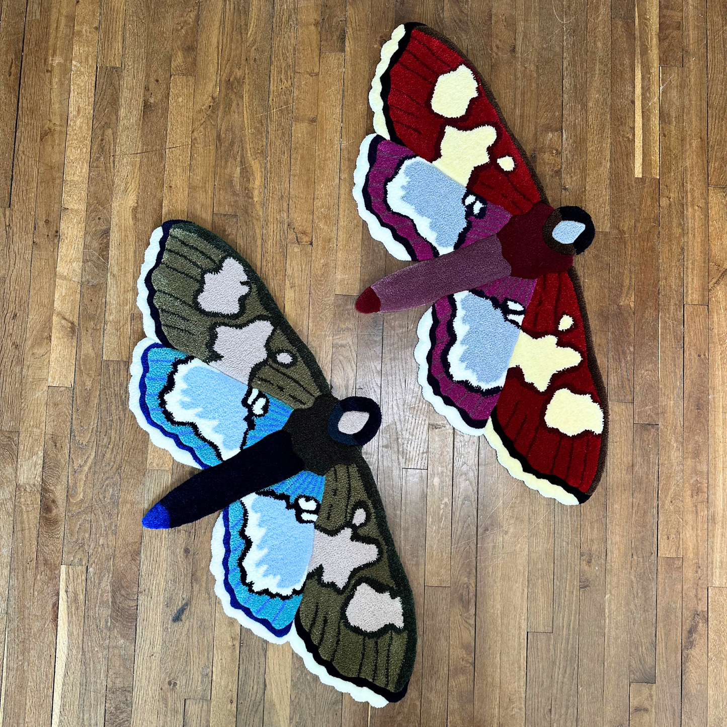 PRÉ-COMMANDE - Colomychus Bleu