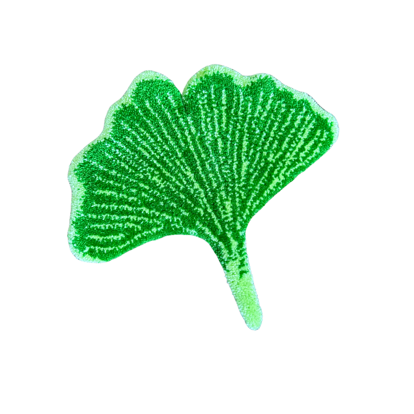 Feuille de Ginkgo
