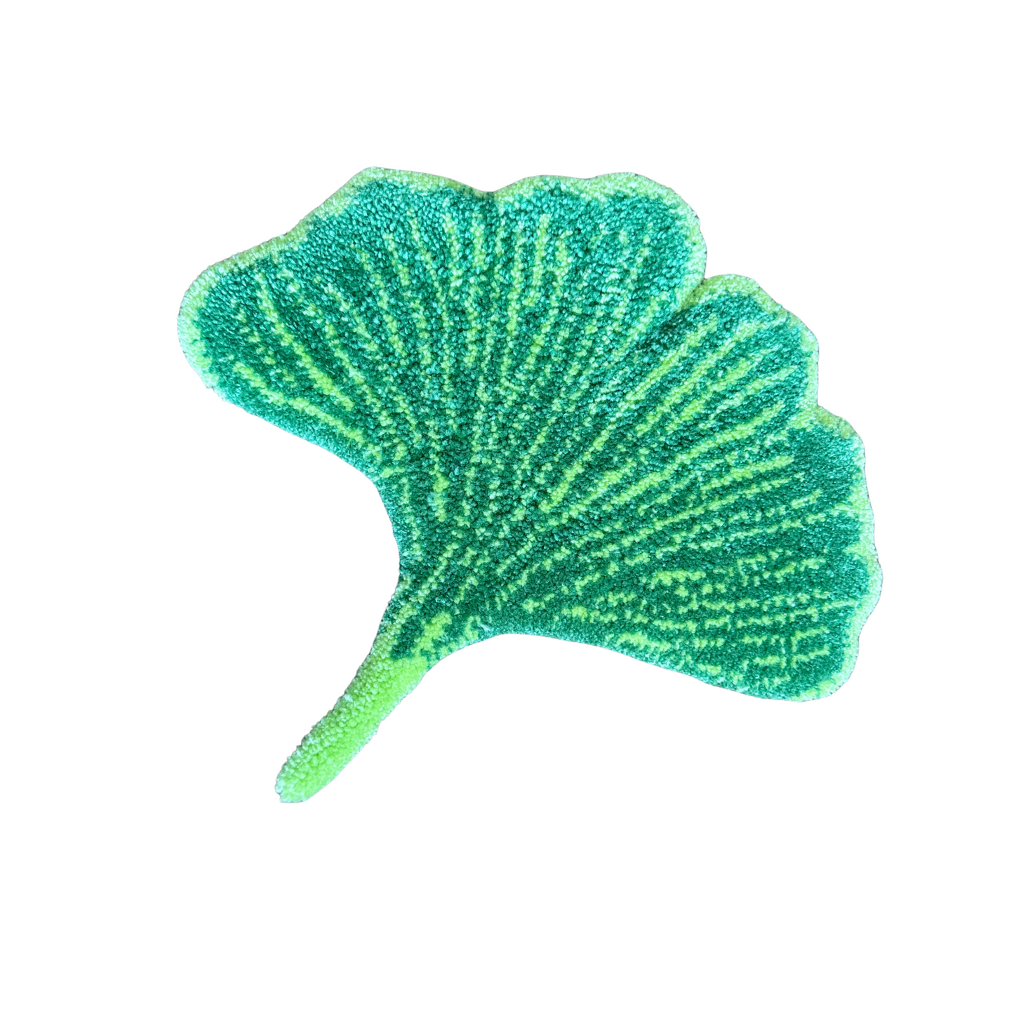 Feuille de Ginkgo