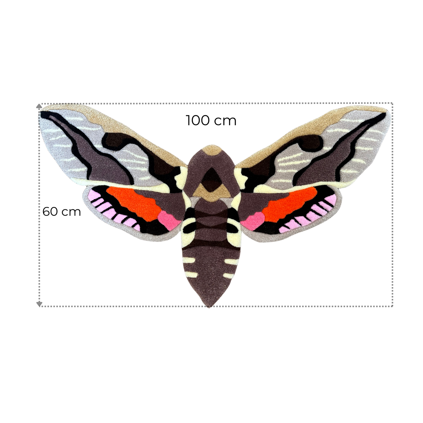 PRE-ORDER - Euphorbia hawk moth