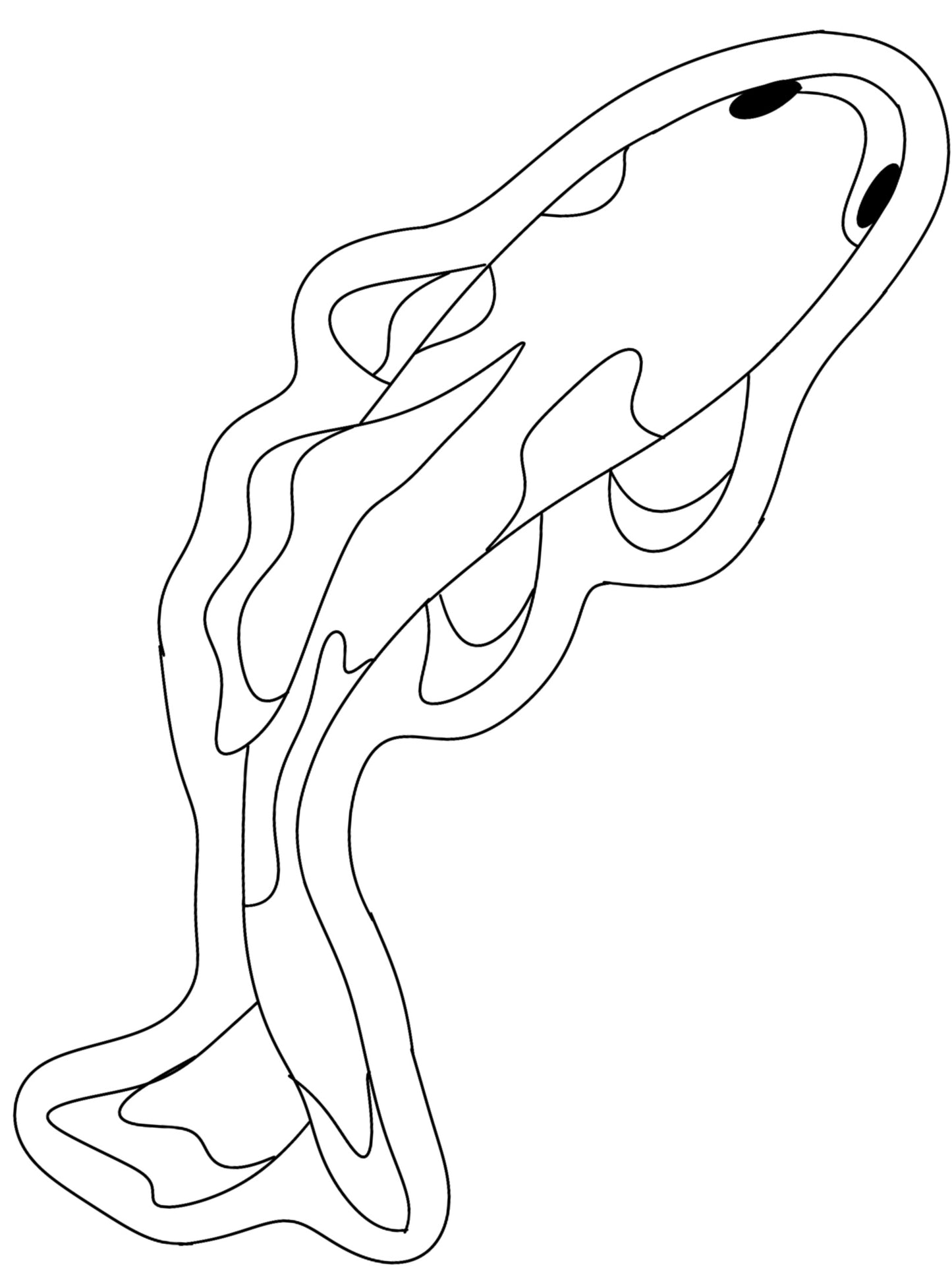 Mini Koï sur mesure