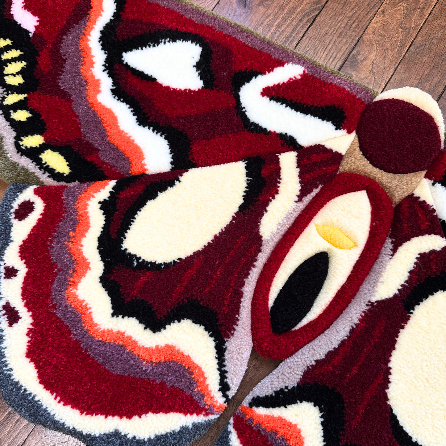 PRÉ-COMMANDE - Hyalophora Columbia