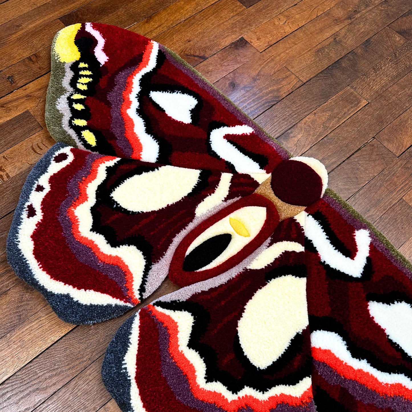 PRÉ-COMMANDE - Hyalophora Columbia