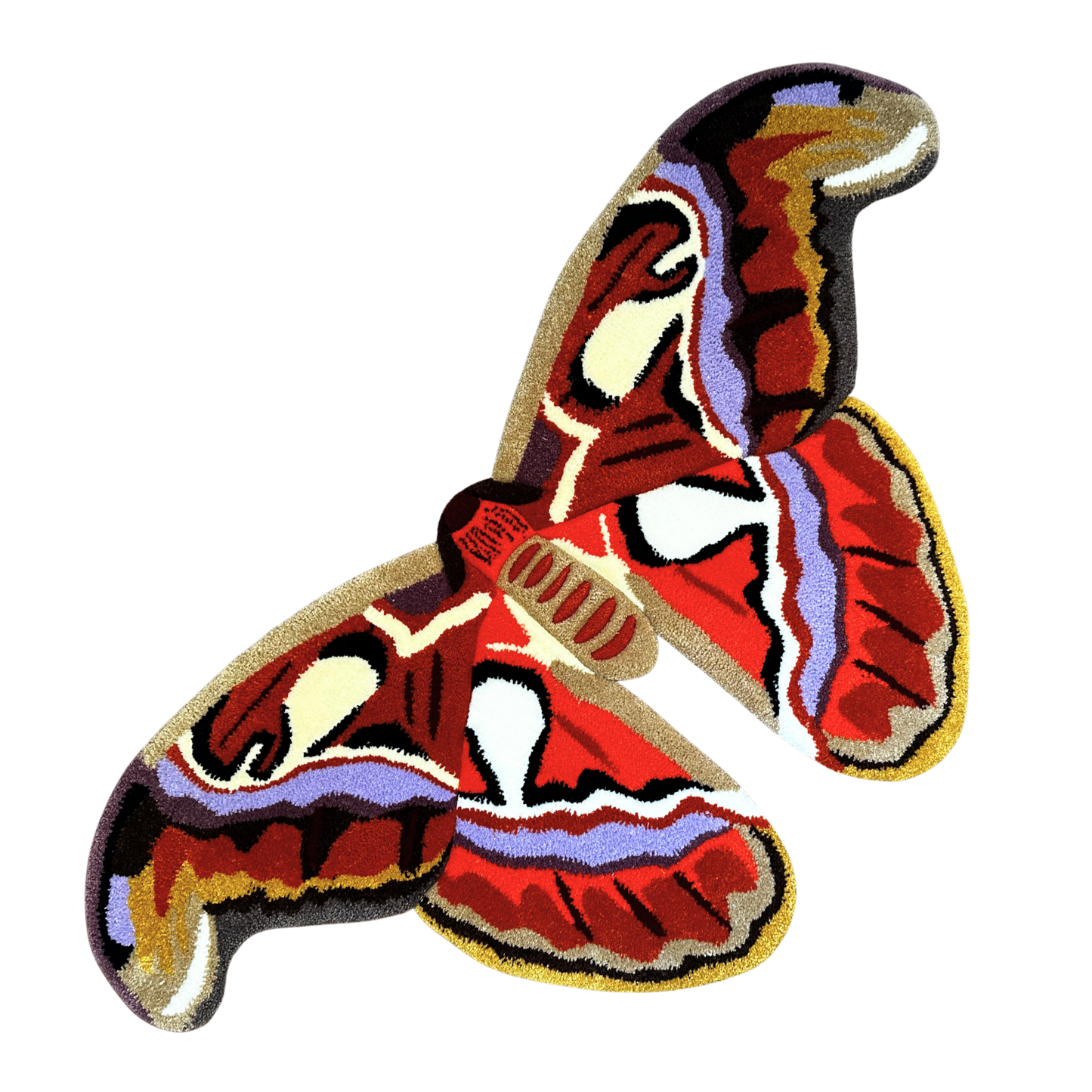 PRÉ-COMMANDE - Attacus Atlas