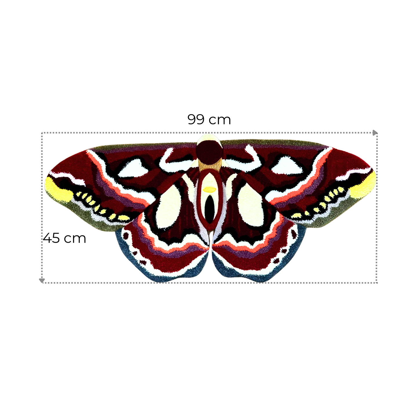PRÉ-COMMANDE - Hyalophora Columbia