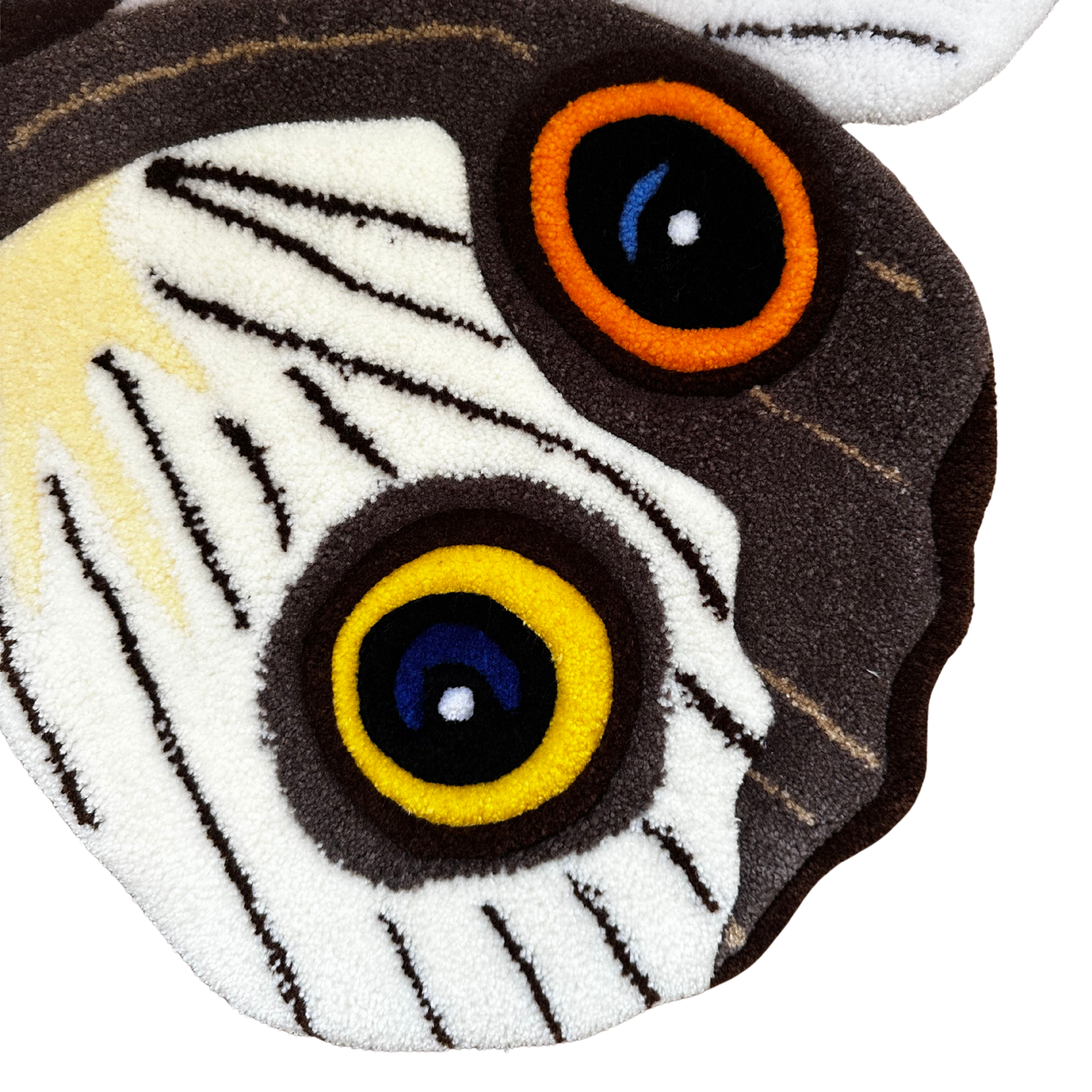 PRÉ-COMMANDE - Taenaris Catops