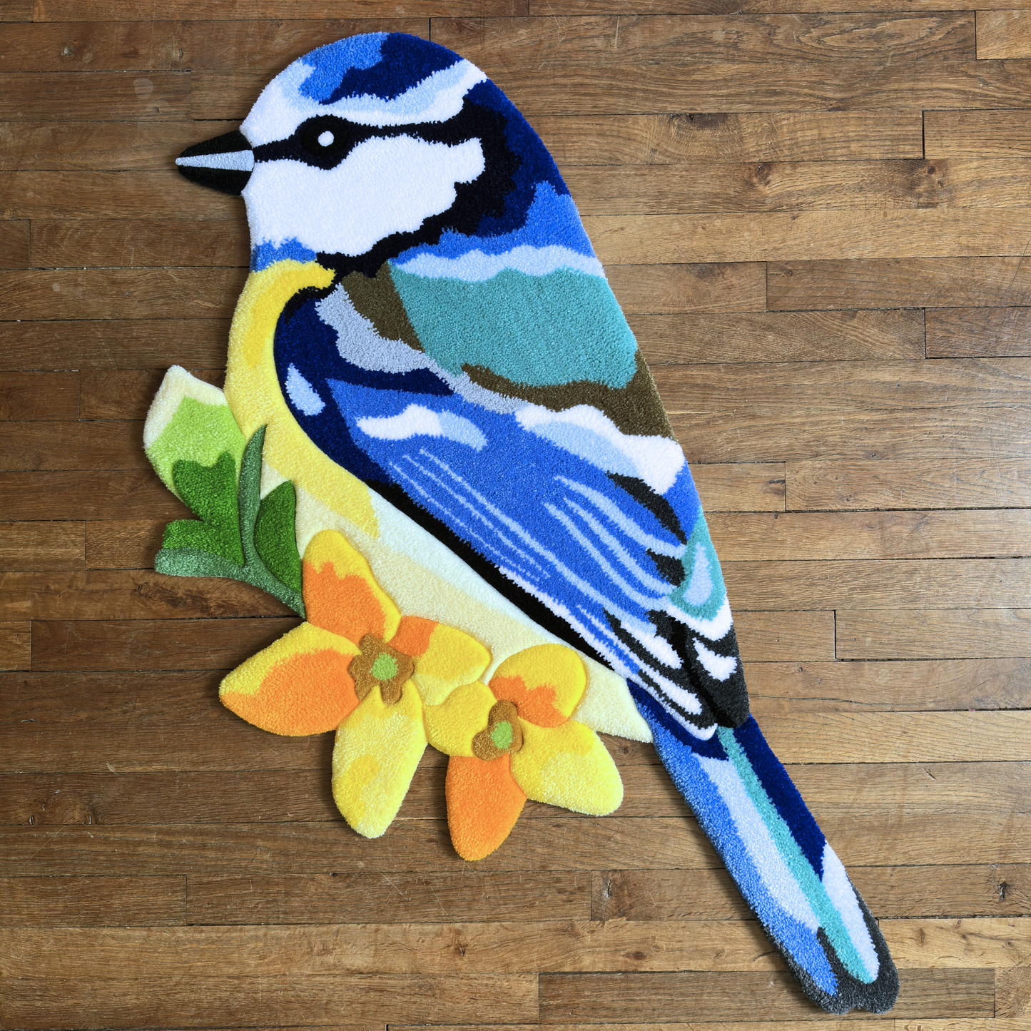 Mésange bleue