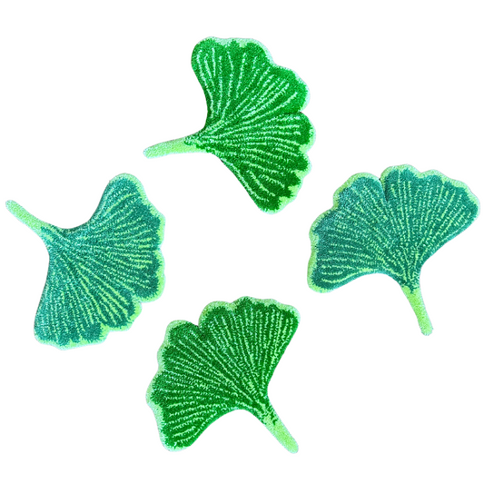 Feuille de Ginkgo