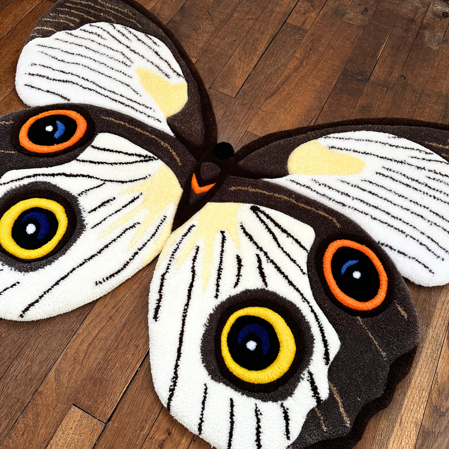 PRÉ-COMMANDE - Taenaris Catops