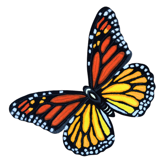 PRE-ORDER - Monarch butterfly (Danaus plexippus)