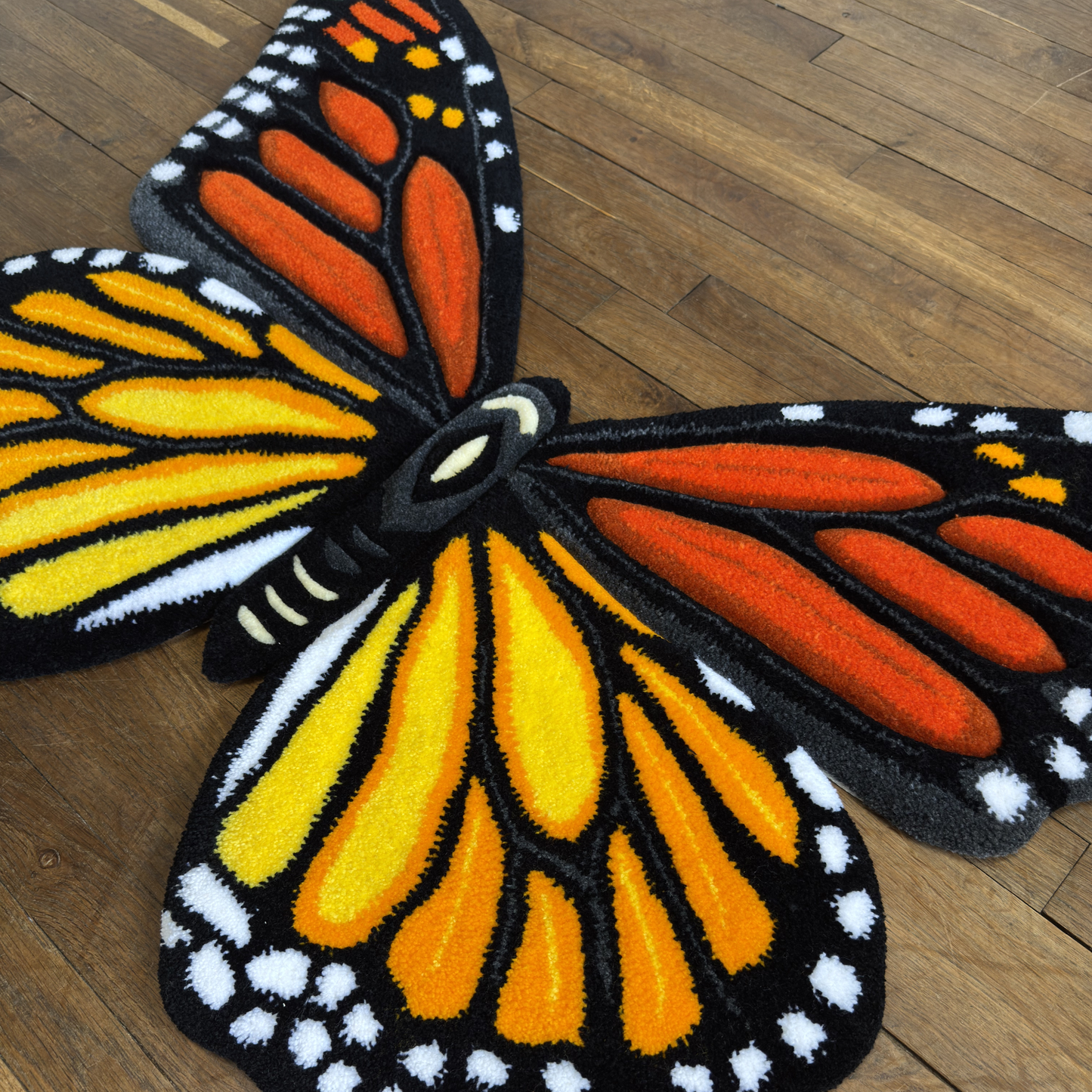 PRE-ORDER - Monarch butterfly (Danaus plexippus)