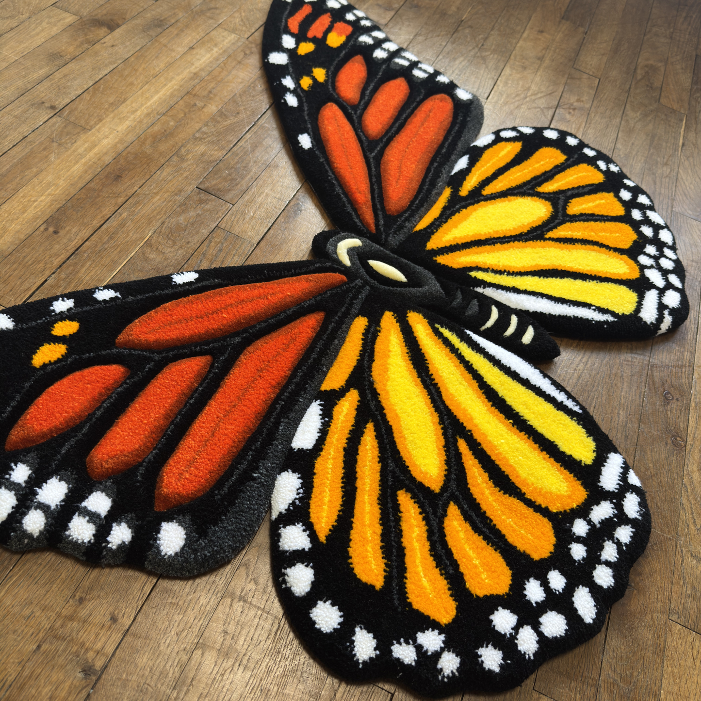 PRE-ORDER - Monarch butterfly (Danaus plexippus)