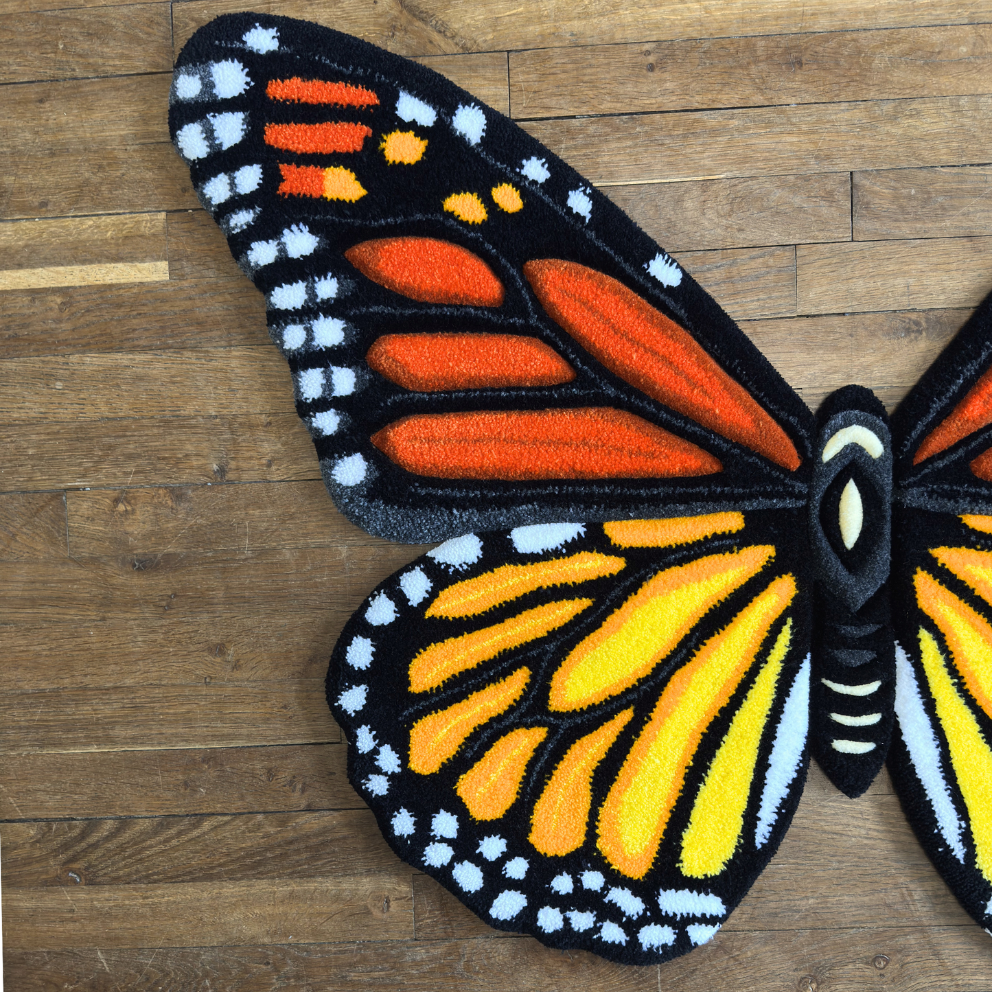 PRE-ORDER - Monarch butterfly (Danaus plexippus)