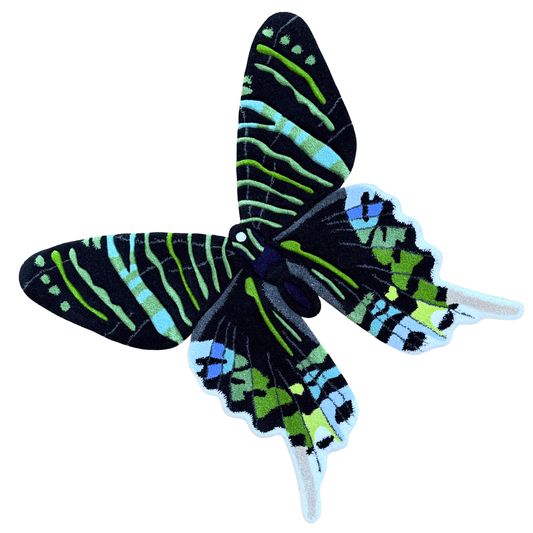 PRE-ORDER - Urania Leilus