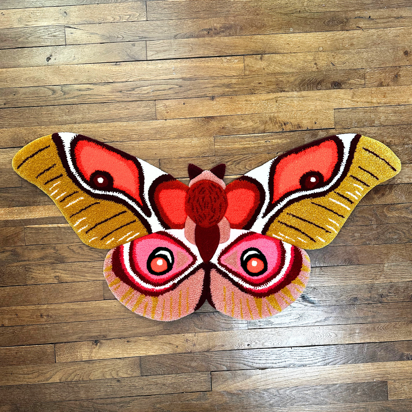 PRÉ-COMMANDE - Antherina Suraka