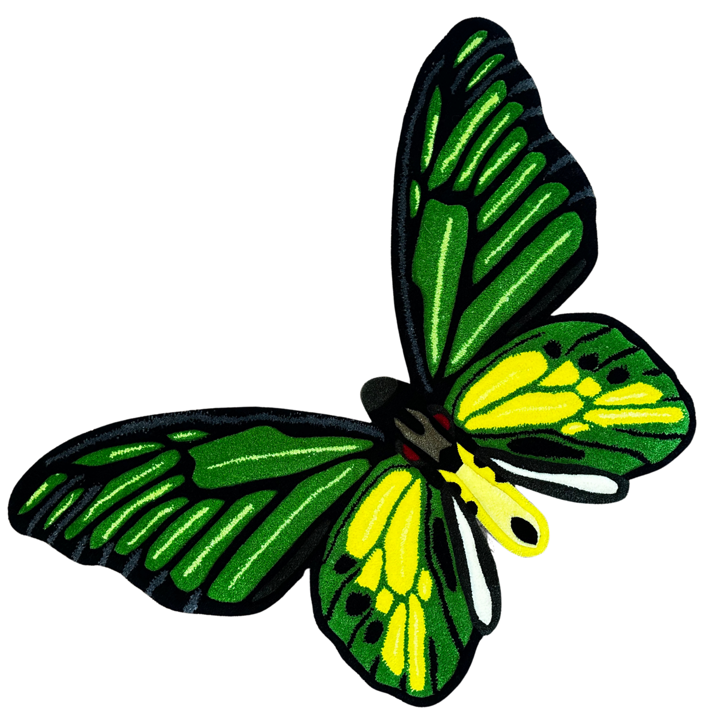 PRÉ-COMMANDE - Ornithoptera