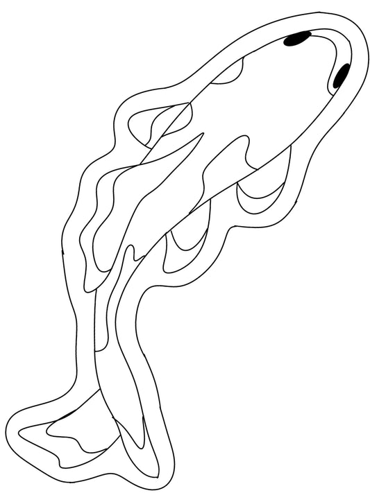 Mini Koï sur mesure